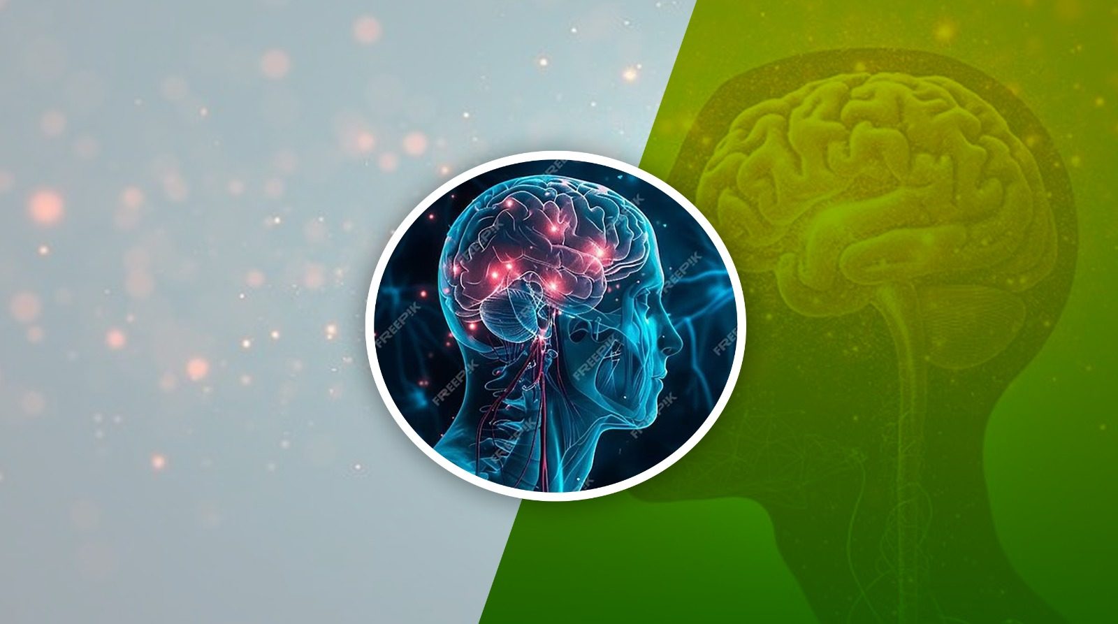 Neurology