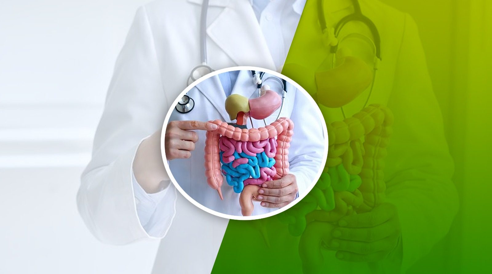 Gastroenterology