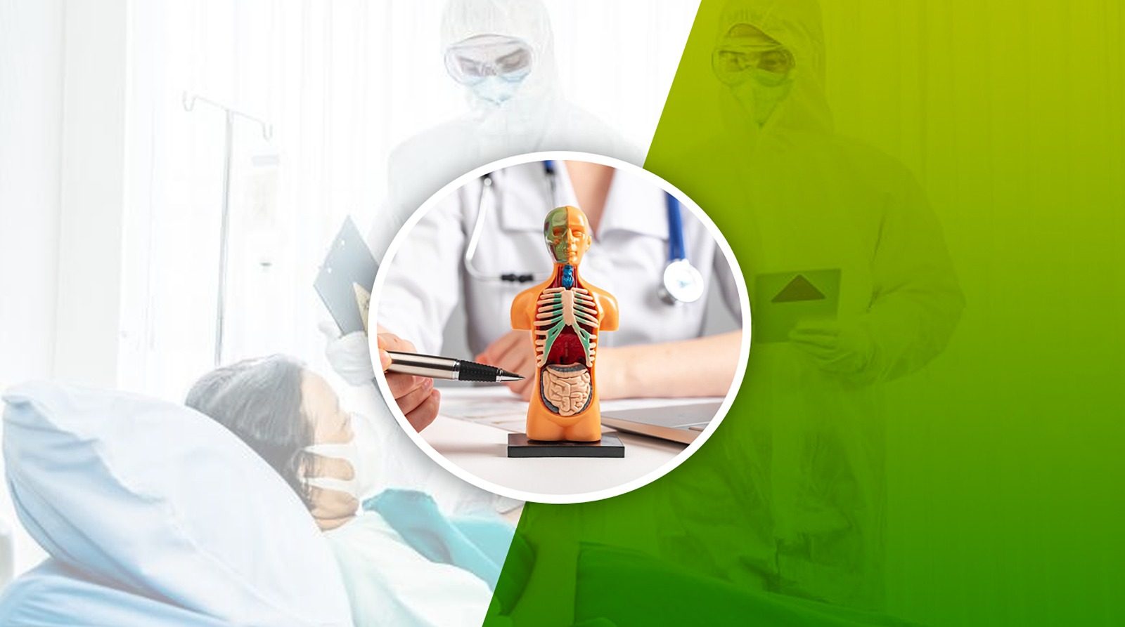 Internal Medicine