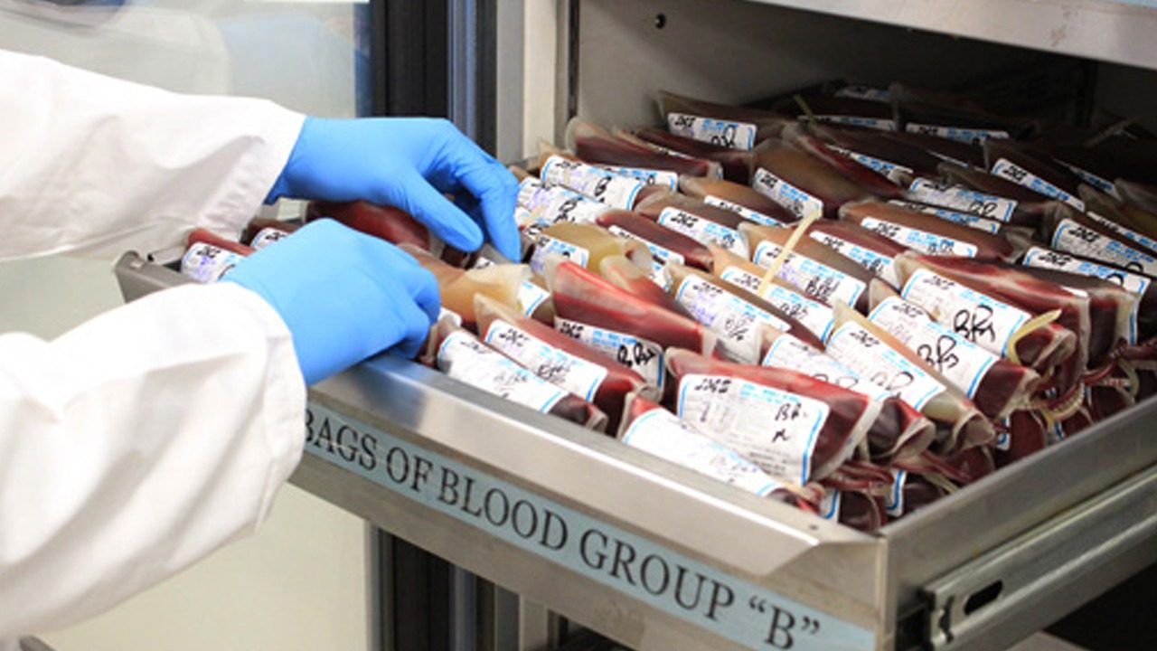 Blood Bank Services
