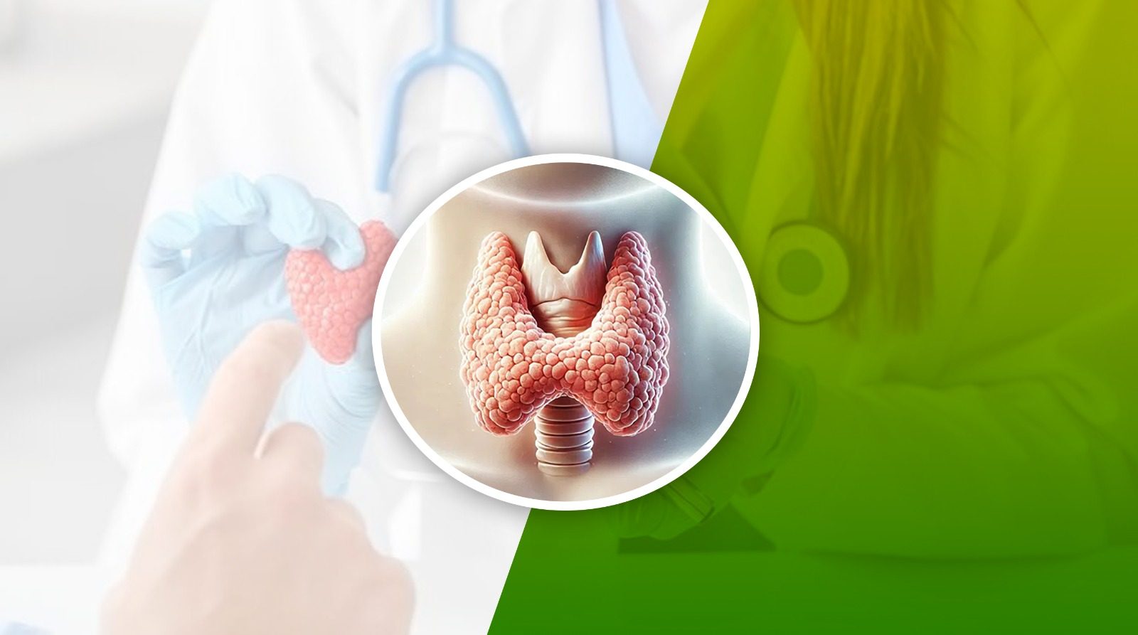 Endocrinology